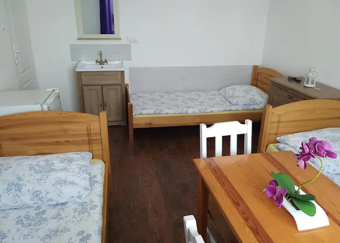 Hostel Rumiankowy Airport Hostel